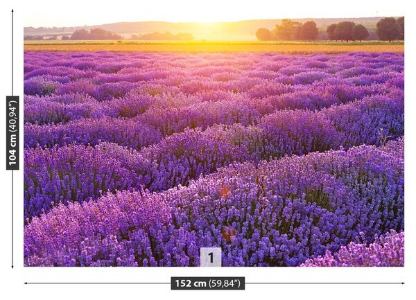 Fototapeta Vliesová Levanduľové polia 152x104 cm