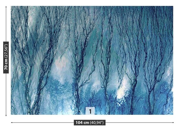 Fototapeta Vliesová Modré riasy 104x70 cm