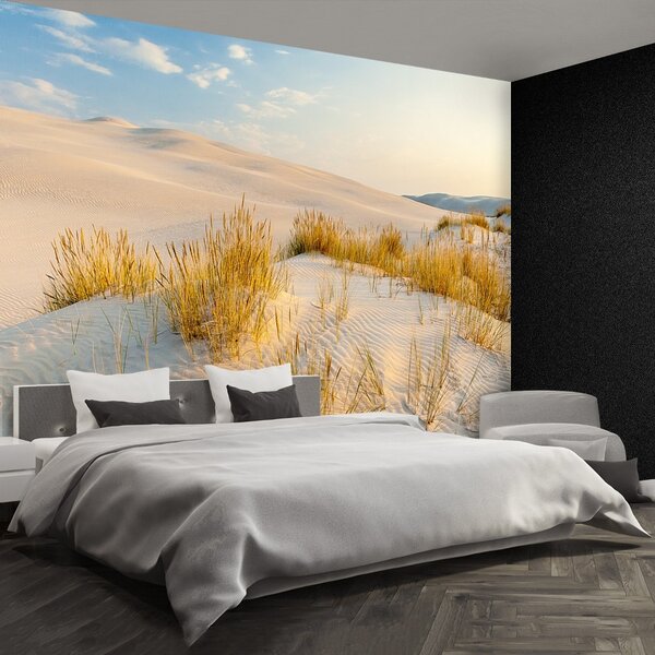 Fototapeta Vliesová Bunesk dunes 104x70 cm