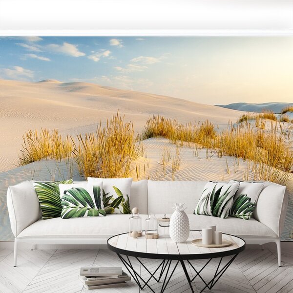 Fototapeta Vliesová Bunesk dunes 104x70 cm