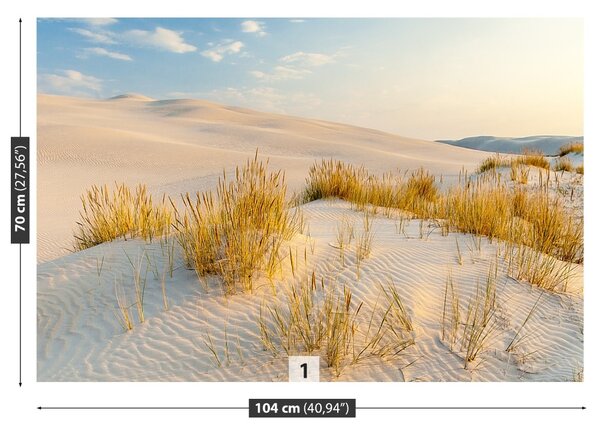 Fototapeta Vliesová Bunesk dunes 104x70 cm