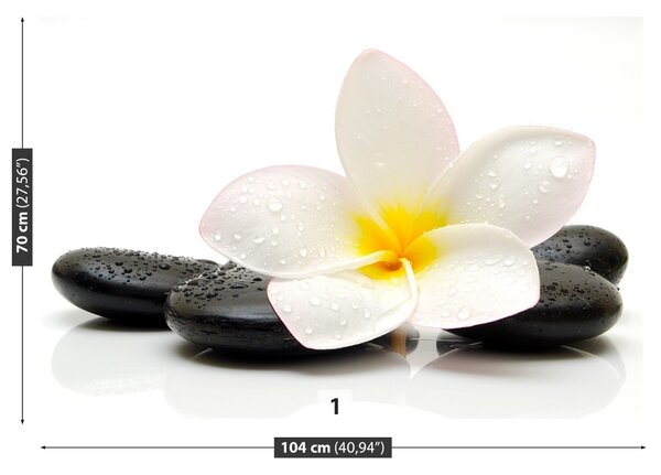 Fototapeta Vliesová Plumeria stones 104x70 cm
