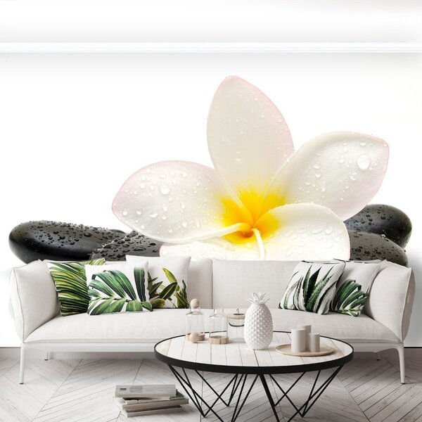 Fototapeta Vliesová Plumeria stones 104x70 cm
