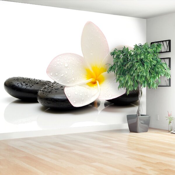 Fototapeta Vliesová Plumeria stones 104x70 cm