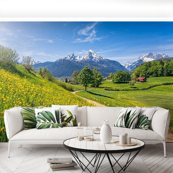 Fototapeta Vliesová Idylické alpy 104x70 cm