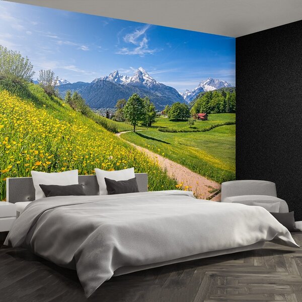 Fototapeta Vliesová Idylické alpy 104x70 cm