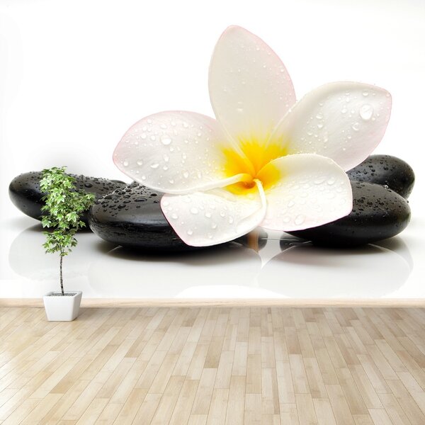 Fototapeta Vliesová Plumeria stones 104x70 cm