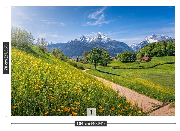 Fototapeta Vliesová Idylické alpy 104x70 cm