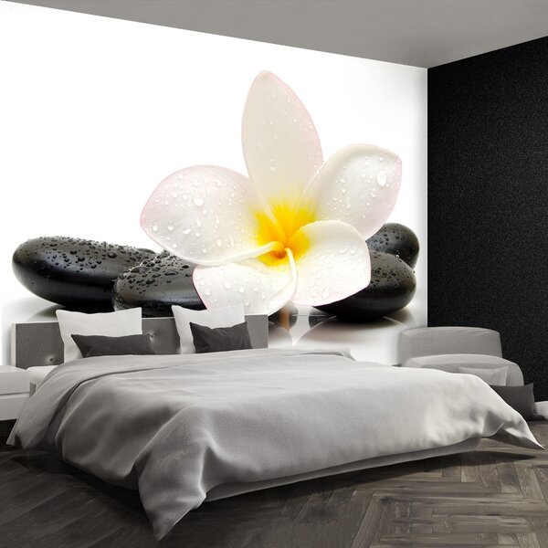 Fototapeta Vliesová Plumeria stones 104x70 cm