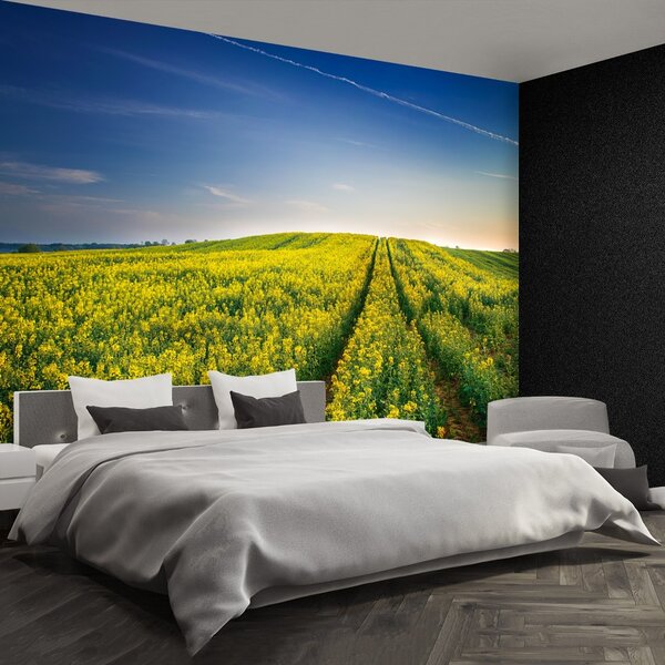 Fototapeta Vliesová Repková pole 104x70 cm