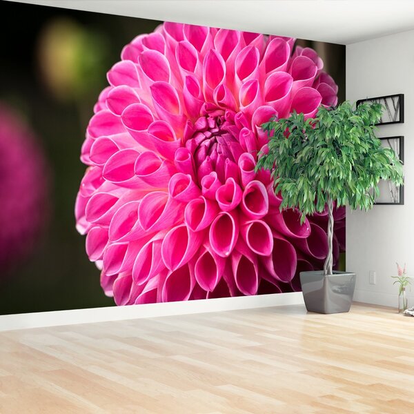 Fototapeta Vliesová Dahlia pink 104x70 cm