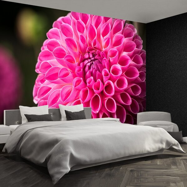 Fototapeta Vliesová Dahlia pink 104x70 cm
