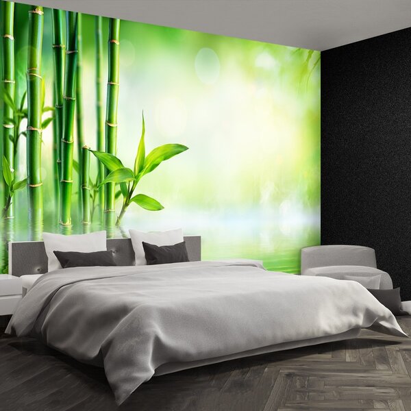 Fototapeta Vliesová Bambusová voda 104x70 cm