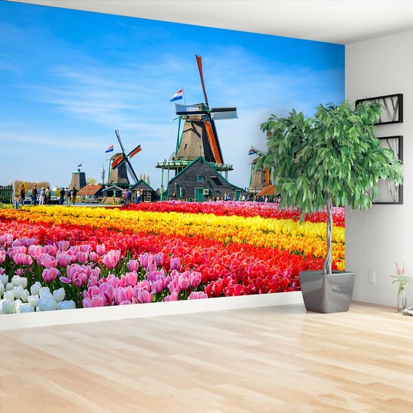 Fototapeta Vliesová Tulipány veterné mlyny 104x70 cm
