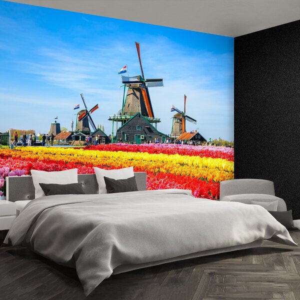 Fototapeta Vliesová Tulipány veterné mlyny 104x70 cm