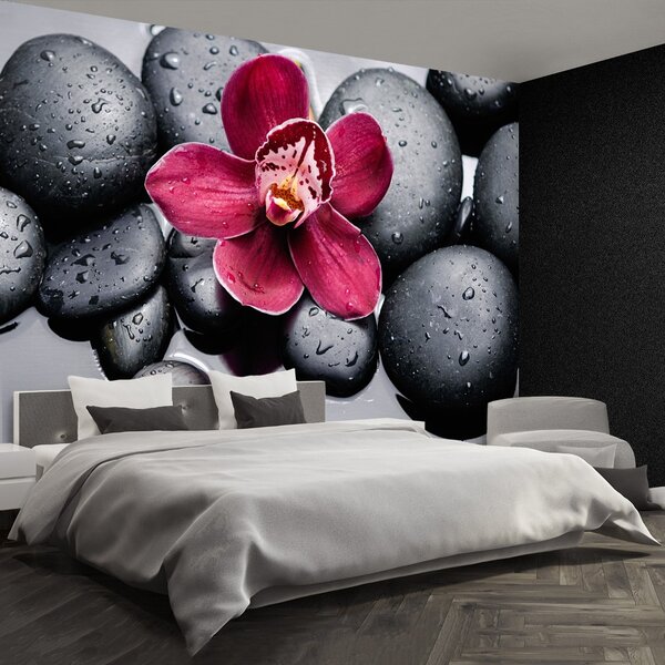 Fototapeta Vliesová Orchidea kamene 104x70 cm