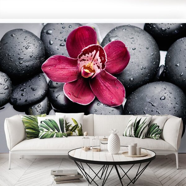 Fototapeta Vliesová Orchidea kamene 104x70 cm