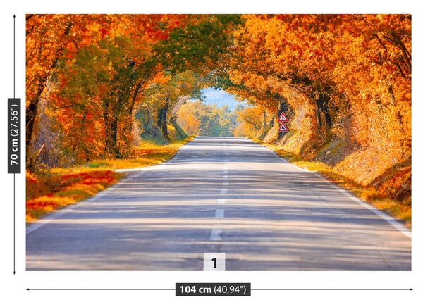 Fototapeta Vliesová Cesty na jeseň 104x70 cm