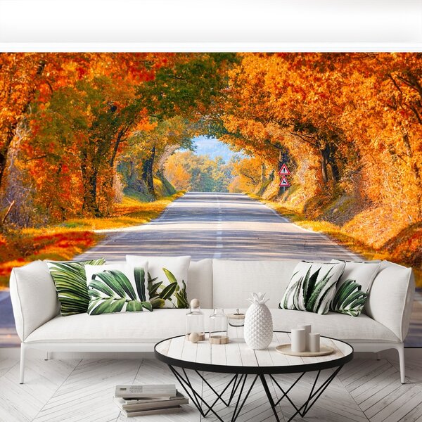 Fototapeta Vliesová Cesty na jeseň 104x70 cm