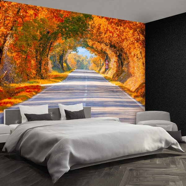 Fototapeta Vliesová Cesty na jeseň 104x70 cm