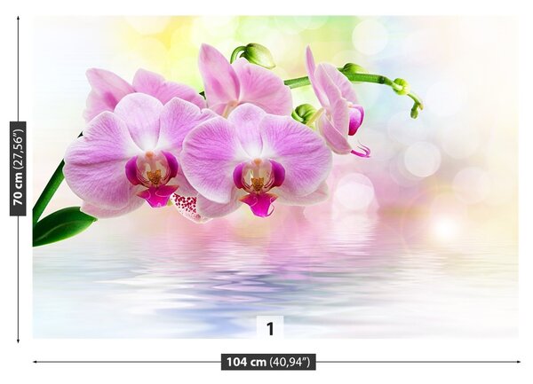 Fototapeta Vliesová Orchidea ruže 104x70 cm