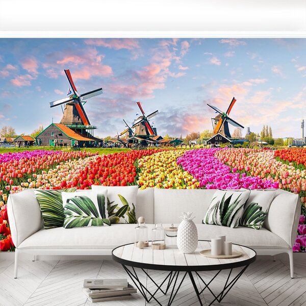 Fototapeta Vliesová Tulipány veterné mlyny 104x70 cm