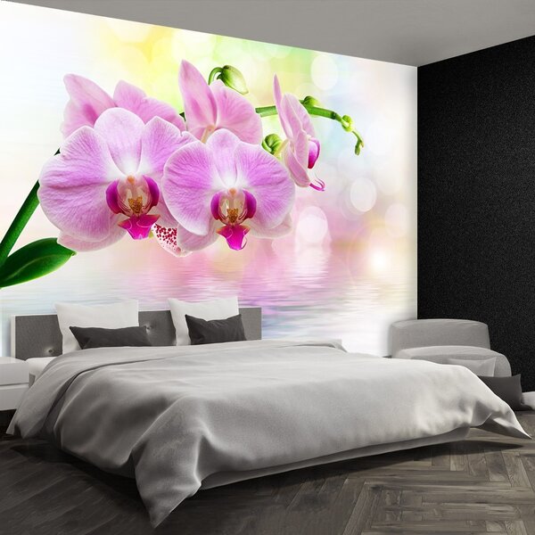 Fototapeta Vliesová Orchidea ruže 104x70 cm
