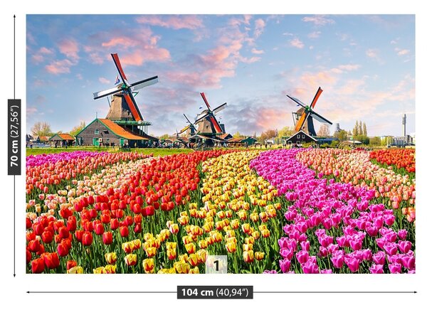 Fototapeta Vliesová Tulipány veterné mlyny 104x70 cm