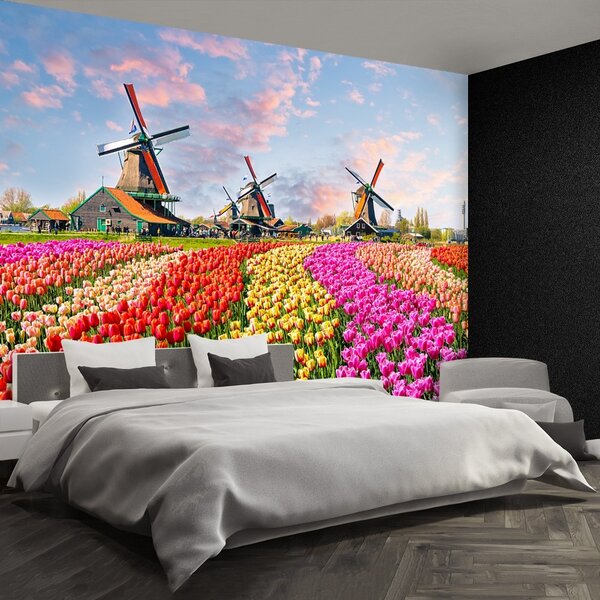 Fototapeta Vliesová Tulipány veterné mlyny 104x70 cm