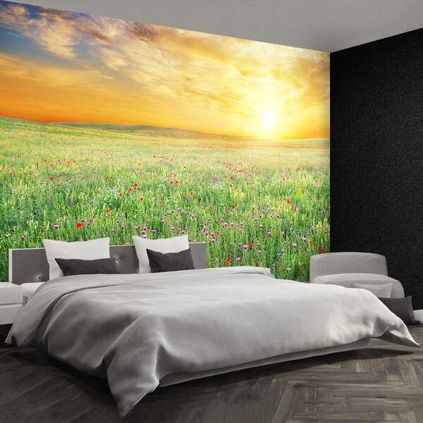 Fototapeta Vliesová Jarná lúka 104x70 cm