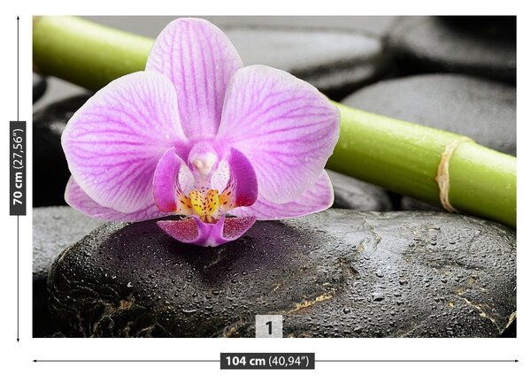Fototapeta Vliesová Orchidea kamene 104x70 cm