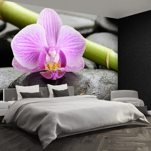Fototapeta Vliesová Orchidea kamene 104x70 cm