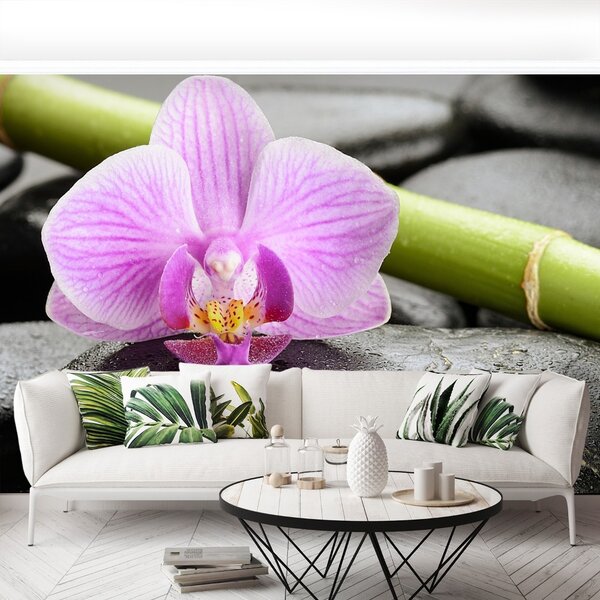 Fototapeta Vliesová Orchidea kamene 104x70 cm
