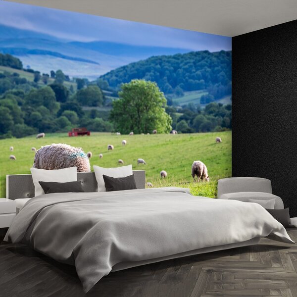 Fototapeta Vliesová Stádo oviec 104x70 cm