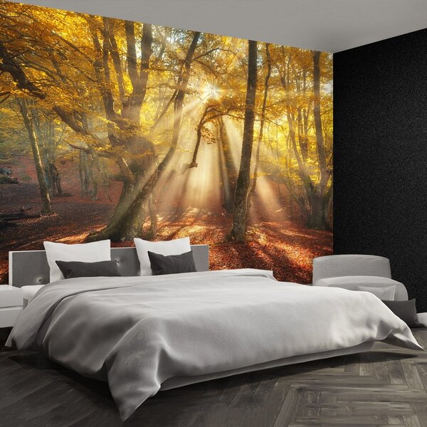 Fototapeta Vliesová Kúzelný les 104x70 cm