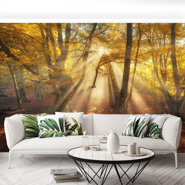 Fototapeta Vliesová Kúzelný les 104x70 cm