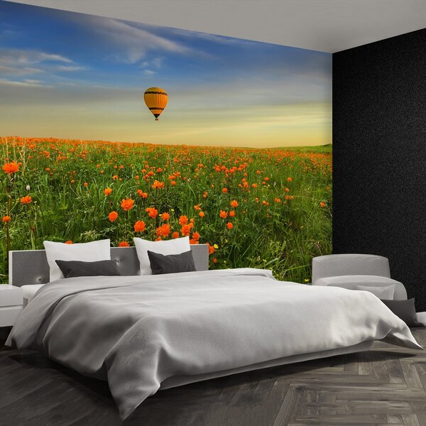 Fototapeta Vliesová Louka balón 104x70 cm