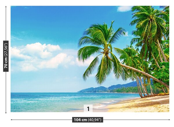 Fototapeta Vliesová Palm beach 104x70 cm