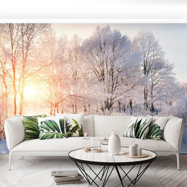 Fototapeta Vliesová Zimné stromy 104x70 cm