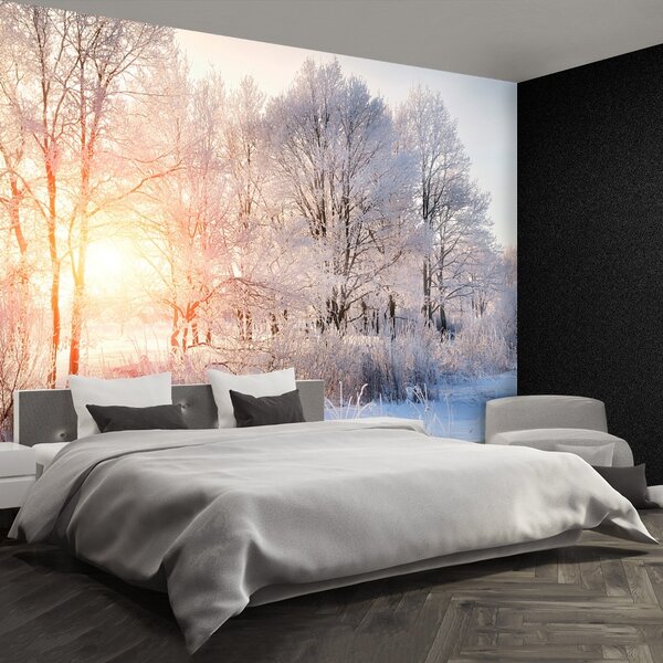 Fototapeta Vliesová Zimné stromy 104x70 cm