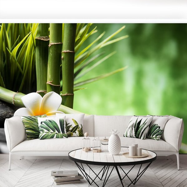 Fototapeta Vliesová Kríky bamboo 152x104 cm