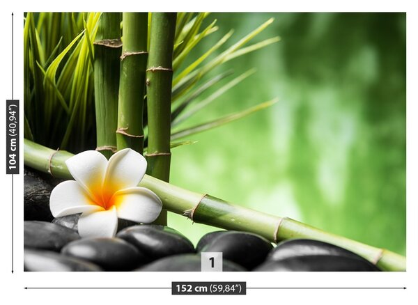 Fototapeta Vliesová Kríky bamboo 152x104 cm