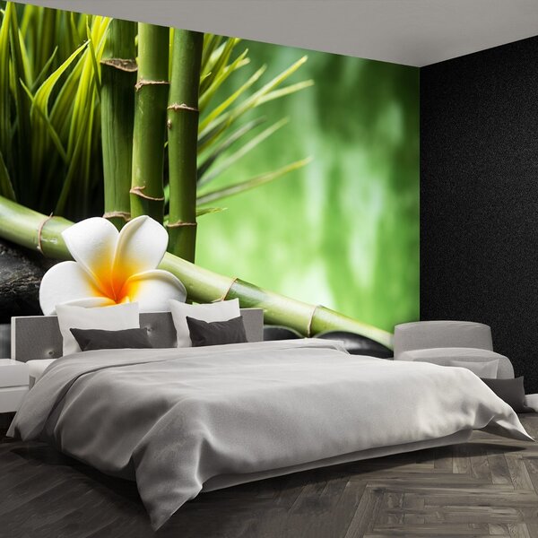 Fototapeta Vliesová Kríky bamboo 152x104 cm