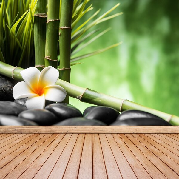 Fototapeta Vliesová Kríky bamboo 152x104 cm