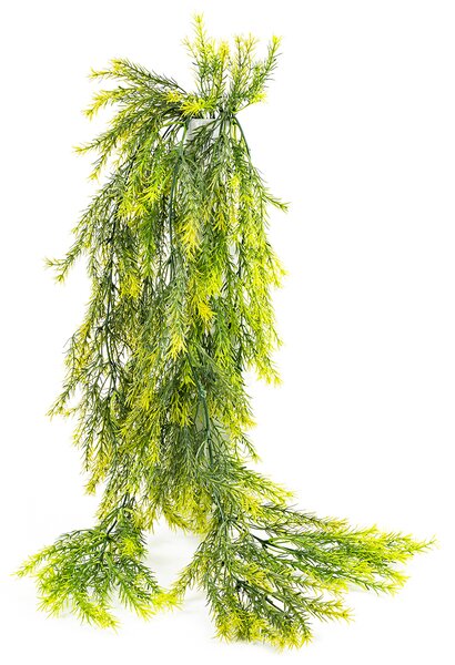 Umelý previsnutý Asparagus, 75 cm