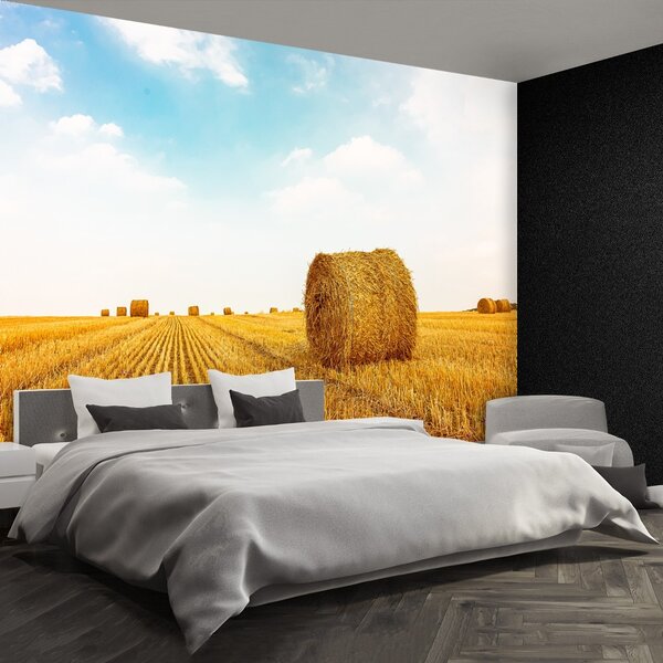 Fototapeta Vliesová Balíky slamy 104x70 cm