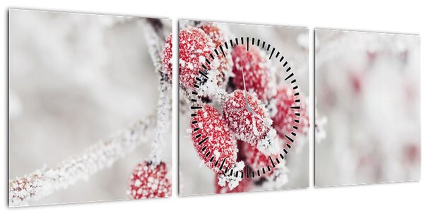 Obraz - Zamrznuté plody (s hodinami) (90x30 cm)