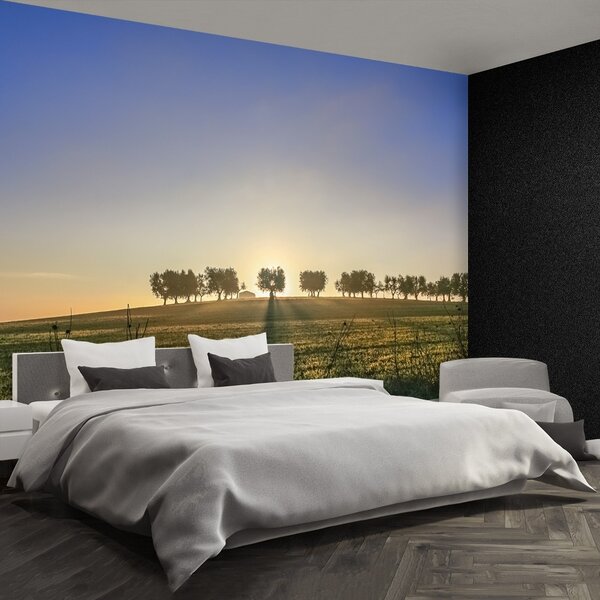 Fototapeta Vliesová Olivový háj 104x70 cm