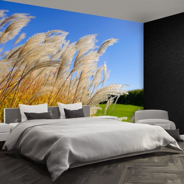 Fototapeta Vliesová Modrý trstina 104x70 cm
