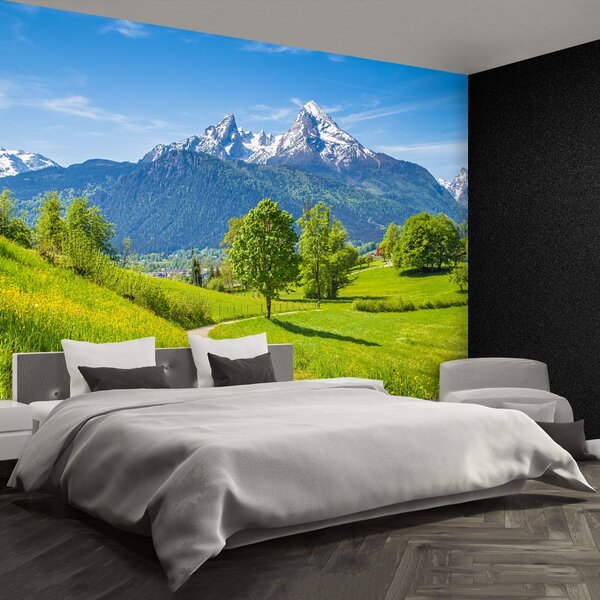 Fototapeta Vliesová Letné alpy 104x70 cm